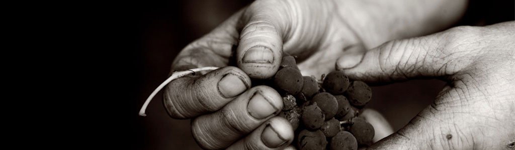 wineclub California Wine Hong Kong